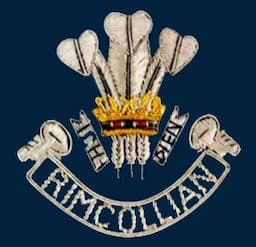 RIMC